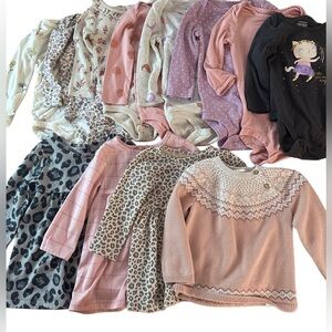 Baby Girl Clothing Bundle | Carter’s, H&M, Wonder Nation | 12 pieces